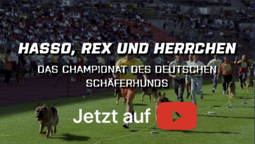 Hasso, Rex und Herrchen