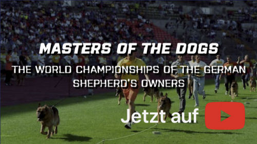 Masters Of The Dogs